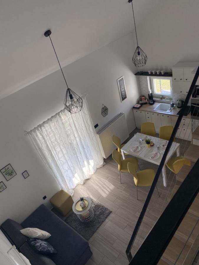 Appartement Aqua-Tuhelj- Sky à Tuheljske Toplice Extérieur photo