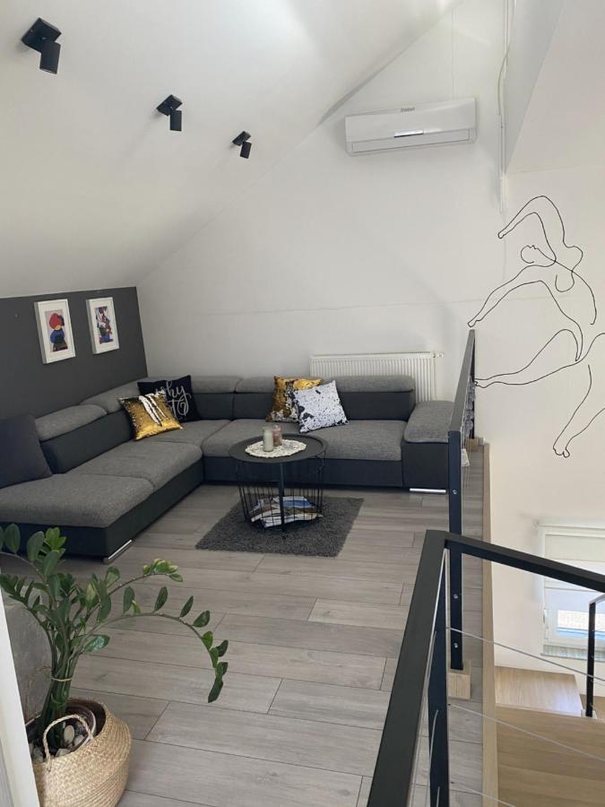 Appartement Aqua-Tuhelj- Sky à Tuheljske Toplice Extérieur photo